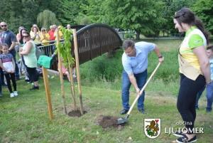 Zasaditev prvih dveh medonosnih dreves 5
